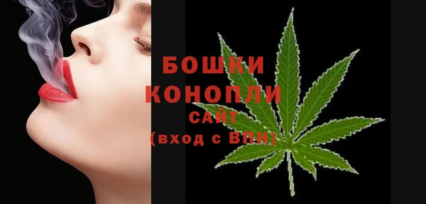 крисы Баксан
